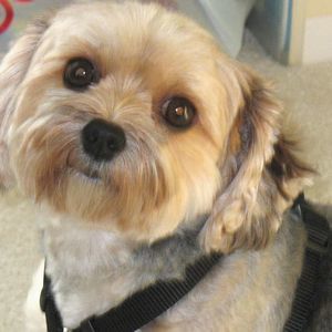 Meet your Posher, Margaret